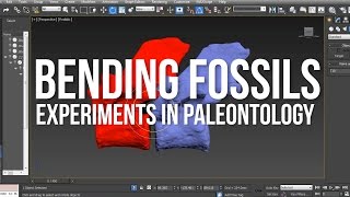 Bending Fossils Experiments In Paleontology Harvard Adventures Part 3 [upl. by Neneek]