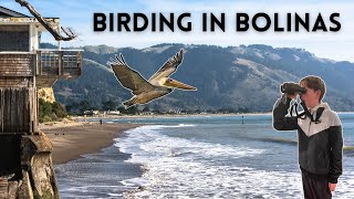 Birding in Bolinas [upl. by Galasyn]