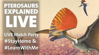 Pterosaurs Explained LIVE StayHome amp LearnWithMe [upl. by Sanferd]