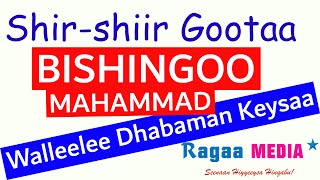 Shirshiir gootaa  Bishingoo Mahammad  Walleelee Afaan Oromoo Kanneen Dhabaman Keeysaa ragaamedia [upl. by Flossi104]