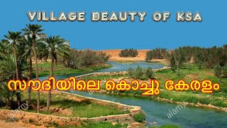 Al Majma’ah Saudi Arabia Places to visit in Saudi Arabia  most beautiful village of KSA  HD 4K [upl. by Attenahs]