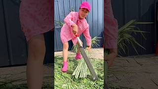 Very Useful Tool for Rural Farmer  Amazing Grass Cutting Tool shorts youtubeshorts tools [upl. by Borek]