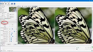 How to Enlarge Images with PhotoZoom [upl. by Selimah]