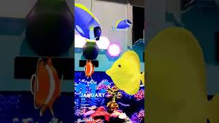 Beautiful Fish 🐟🐠 augmentedreality app [upl. by Noryahs548]