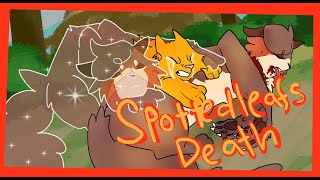 SPOTTEDLEAFS DEATH  Warrior cats animation [upl. by Yrffoeg]