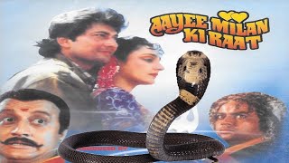 AAYEE MILAN KI RAAT 1991 Devotional Snake Movie [upl. by Zamir]