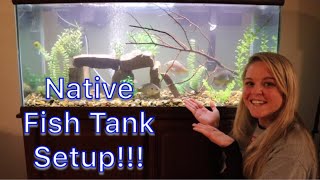 Setting Up a NATIVE FRESHWATER FISH Aquarium [upl. by Eittam]