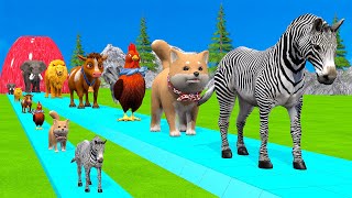 Paint amp Animals CowGorrilaElephantSheepDeerTigerLion Fountain Crossing Transformation Cartoon [upl. by Atsev]