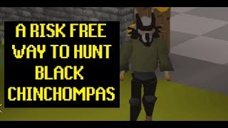 A new RISK FREE way to do Black Chinchompas  OSRS Old School Runescape [upl. by Nimzaj]