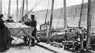 Old Photographs Eyemouth Scotland [upl. by Yci208]