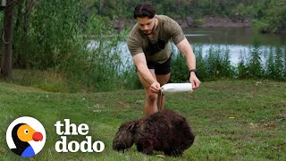 Guy Chases Down Wild Wombats To Save Their Lives  The Dodo [upl. by Nnylhsa]