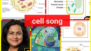 The cell song  learn animal and plant cell structure in fun way [upl. by Uolyram]