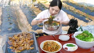 Real Mukbang Korean BBQ amp Cold Kimchi Noodles eaten at a country house ☆ Soju [upl. by Stier226]