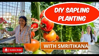 Garden Vlog 2 How to properly plant Sapling and Seed with tips on Soil preparation [upl. by Sinnelg]