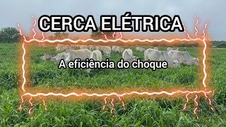 CERCA ELÉTRICA A eficiência do choque [upl. by Eyanaj]