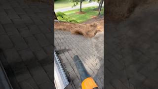 Stihl Br700 Winds Blowing [upl. by Bailar11]