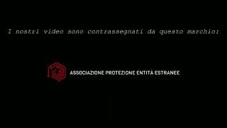 Come riconoscere un video dellAssociazione  Analog Horror ITA [upl. by Hagi]