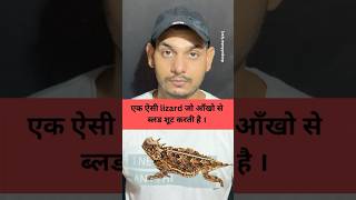 एक ऐसी lizard जो आँखो से ब्लड शूट करती है। weirdest lizardytshorts shorts lizard dangerous [upl. by Eihcra]