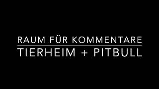 Zeitlose Hundetherapie trainiert im Tierheim und kritisiert PitbullHalter [upl. by Gaylord]