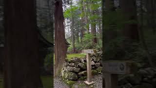 「平泉寺白山神社」大楠公墓塔への参道、三之宮近く、福井県勝山市quotHeisenji Temple Hakusan Shrinequot in Kastuyama cityFukui pre [upl. by Arocal749]