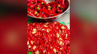 My Home Made Sambal Oelek Chili Paste [upl. by Atiekahs578]