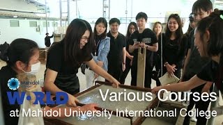 Various Courses at Mahidol University International College  MUIC By Mahidol [upl. by Warrick]