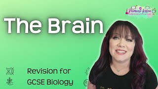 The Brain  Revision for Biology GCSE [upl. by Jp]