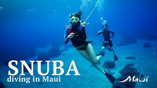 Pride of Maui SNUBA Diving  Best Maui Ocean Activities [upl. by Riane363]