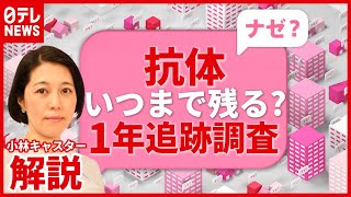 【解説】感染者２５０人 “抗体”１年追跡調査が発表…“再感染リスク”は？（2021年5月20日放送「news every」より） [upl. by Saiff786]