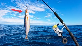 Fishing for RED SNAPPER The EASY Way How To Tips and Techniques [upl. by Aleka]