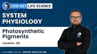 Photosynthetic Pigments  System Physiology  CSIR NET Exam For Life Science [upl. by Martz]