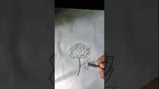 Rose pencil Art ll please subscribe my channel [upl. by Ahsiuqat589]