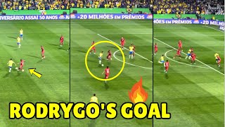 Rodrygos Stunning Goal Seals Brazils Victory Over Ecuador in 2026 World Cup Qualifiers [upl. by Attelrak177]