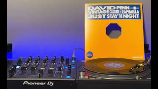 David Penn  Vintage Culture  Raphaella  Just Stay The Night  DEFECTED LIMITED EDITION BOX SET [upl. by Beverle625]