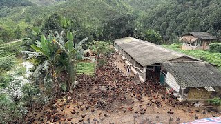 FULL VIDEO 130 Days of raising chickens How to care for chickens and prevent diseases Chicken Farm [upl. by Akamaozu868]