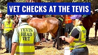 The Tevis Cup What Happens At The Vet Check Most Difficult 100 Mile Endurance Ride [upl. by Missi]