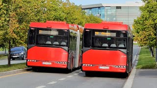 Buses at FORNEBU in OSLO NORWAY [upl. by Natam]