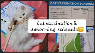 CATS VACCINATION amp DEWORMING SCHEDULE Deworming kese kre meowmeade catvaccination deworm [upl. by Teague212]