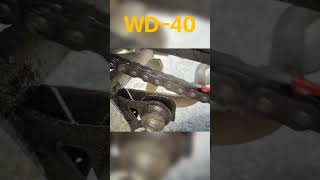 Save Bike from Rust in this Monsoon  WD40 Chain Lubricant  Rust Remover  All BikeampCars 🌧️🏍️⛓️🚗🌧️ [upl. by Linsk]