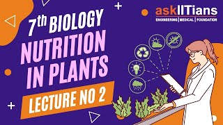 Photosynthesis  Process  Lecture2  Nutrition in Plants  Biology  Grade 7  JEE NEET Olympiads [upl. by Arias]