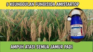 5 KEUNGGULAN FUNGISIDA AMISTARTOP UNTUK ATASI SEMUA JAMUR [upl. by Torry]