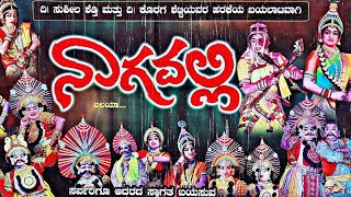 Journey to Karnatakas Cultural Gem Perdoor Mela Nagavalis Yakshagana Delights [upl. by Brom404]