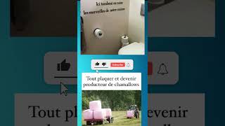 Les Chamallows😅🤣speedwit humor memes funny viral [upl. by Rexer]