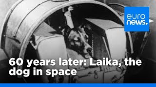 60 years on  Laika the dog in space  euronews 🇬🇧 [upl. by Artaed623]