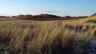 De Hon Ameland [upl. by Bouldon]