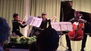 Christian Li  Haydn Piano Trio in G Major  Gypsy Hob xv 25 [upl. by Inoj164]