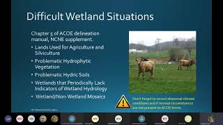 Wetland Consultant Training [upl. by Nedarb]