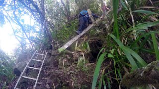 Randonnée de la forêt de Bélouve à Takamaka à la Réunion [upl. by Anerrol]