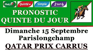 PRONOSTIC PMU QUINTE DU JOUR DIMANCHE 15 SEPTEMBRE 2024 Parislongchamp Qatar prix Carrus R1 C4 [upl. by Aiclid444]