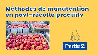 Méthodes de manutention en postrécolte produits horticole  Partie 2 [upl. by Kane974]